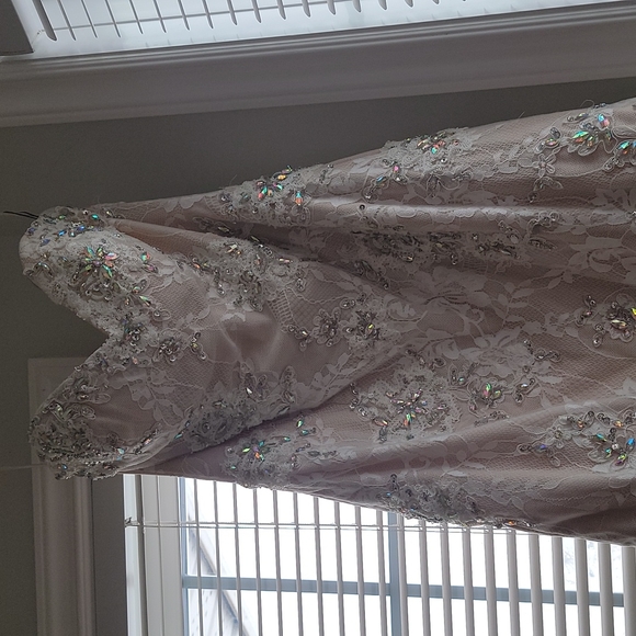 Beautiful GIGI Designs by La Femme lace gown - Picture 9 of 14